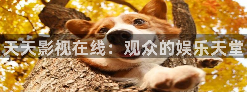 保利中环电影院影讯：天天影视在线：观众的娱乐天堂
