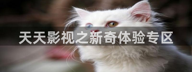 保利广场电影院：天天影视之新奇体验专区