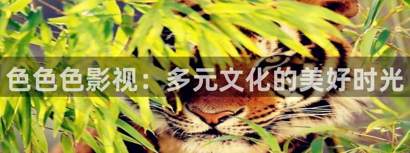 郑州保利国际影城：色色色影视：多元文化的美好时光