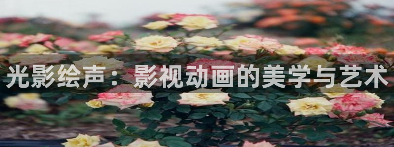 江豪广场保利万和国际影院：光影绘声：影视动画的美学与艺术