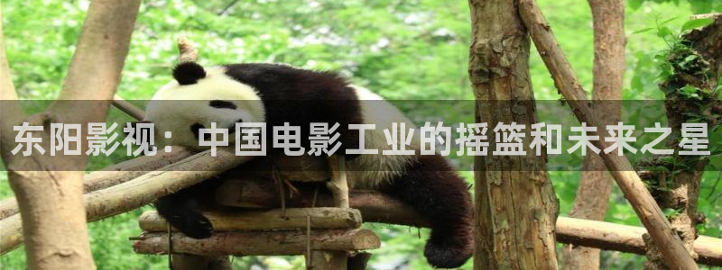 自贡保利电影院今日电影：东阳影视：中国电影工业的摇篮和未来之星