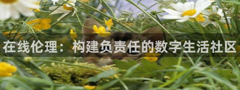 自贡保利电影院今日电影：在线伦理：构建负责任的数字生活社区