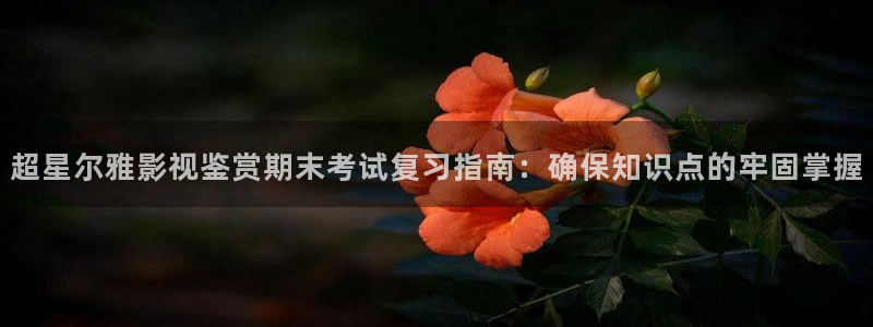 保利剧场：超星尔雅影视鉴赏期末考试复习指南：确保知识点的牢固掌握