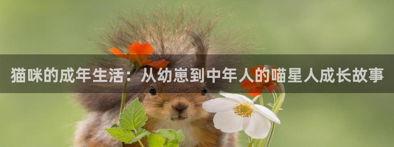 保利中环影城今日电影