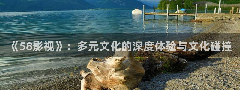 嘉定保利剧院简介：《58影视》：多元文化的深度体验与文化碰撞