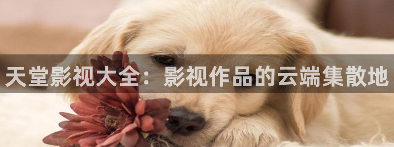 保利电影院官网：天堂影视大全：影视作品的云端集散地