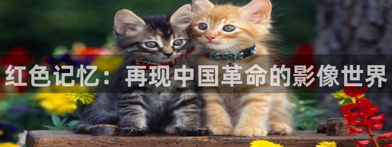 保利影视：红色记忆：再现中国革命的影像世界