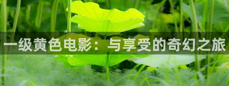 汕尾保利今日影讯：一级黄色电影：与享受的奇幻之旅