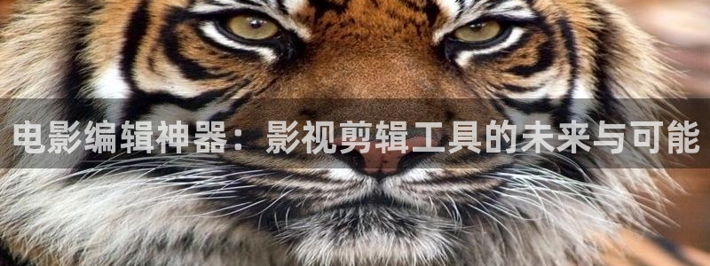 深圳保利剧院在哪个区